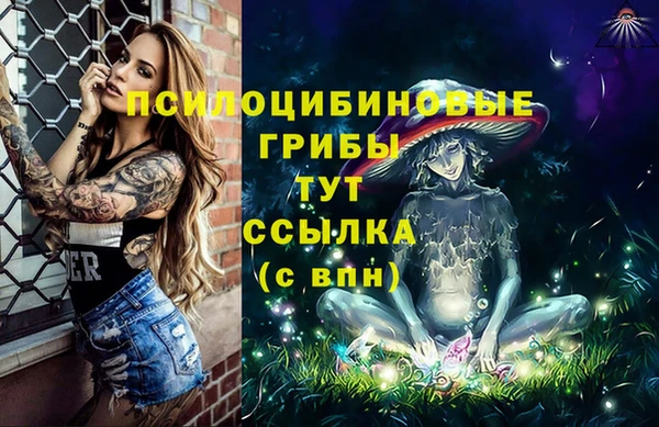 экстази Алексин