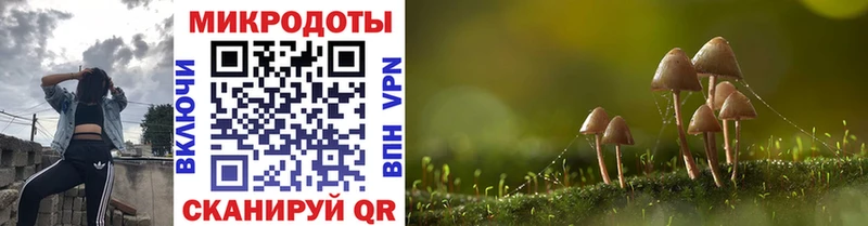 Псилоцибиновые грибы GOLDEN TEACHER  Евпатория 